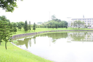 湖畔绿意盎然的宁静景致