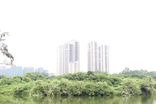 广医河畔绿树环绕的高楼景观