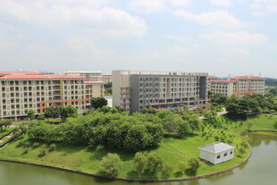 广医湖畔楼宇景观