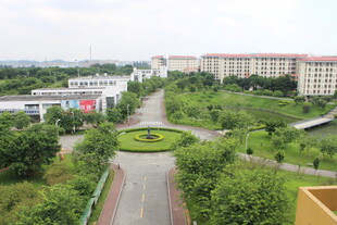 广医俯瞰园区绿化景观道路