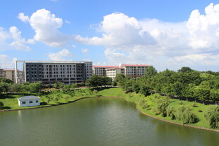 广医湖畔楼宇与葱郁绿植景观
