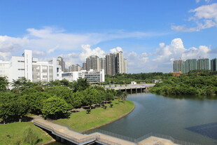 广医城市河畔美丽风光