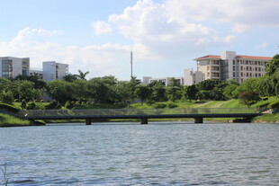 广医城市湖畔风光美景