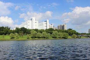 广医湖畔高楼与葱郁绿植景观