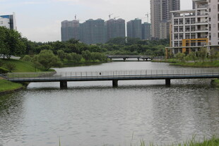 广医城市河畔景观桥风景