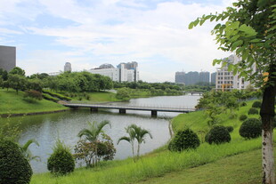 广医城市河畔风光美景