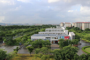 广医校园鸟瞰图 绿树环绕建筑