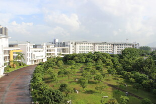 广医校园风景俯瞰图