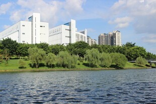 广医湖畔城市风光