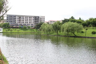 广医湖畔楼宇与葱郁绿植景观