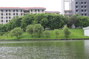 广医湖畔绿树环绕的校园景致