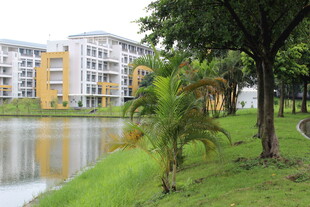 广医湖畔多彩建筑与绿植景观