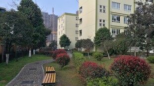 小区内的花园景观