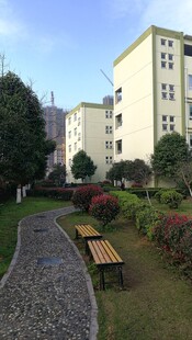 小区内的静谧休闲景观
