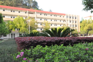 校园建筑前的绿植景观