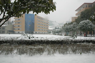 雪后城市河畔景致