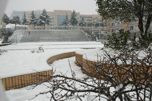 冬日雪景中的建筑与树木