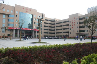 现代风格多层办公建筑外观