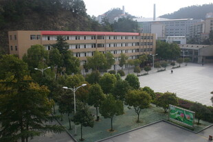 校园风景 绿树环绕的建筑