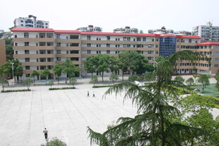 小区景观 绿树环绕的楼房
