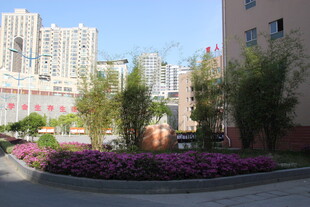小区内的美丽花卉景观