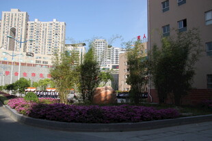 小区内的美丽景观