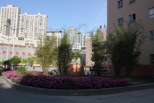 小区内美丽的花卉景观