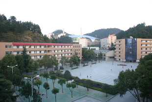 校园风景 建筑与绿植相映