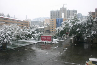 城市雪景中的街道与建筑