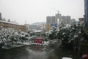 雪覆城市景观