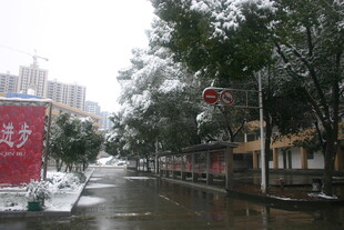 雨后城市街道景象