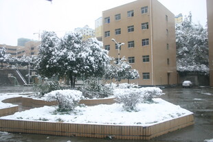 雪后小区景观