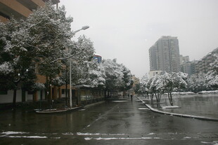 雪后城市街道景观
