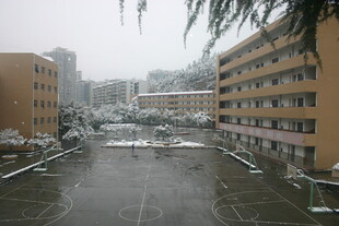 校园雪景