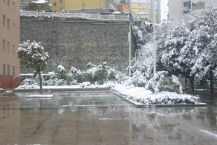 雪后校园景致