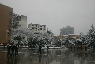 雪后城市街道景象