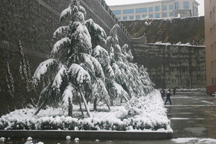 雪覆雕塑景观