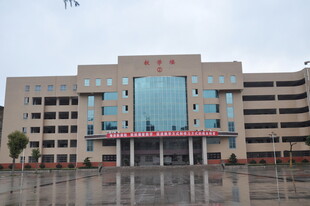现代风格办公大楼外观