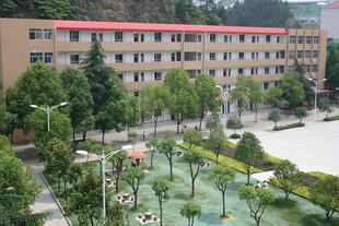 校园绿化景观