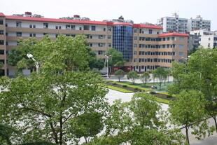 校园建筑与绿化景观