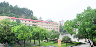 校园绿树环绕的建筑景观