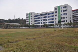 校园教学楼与开阔草地
