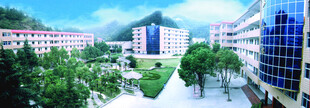 校园风光全景