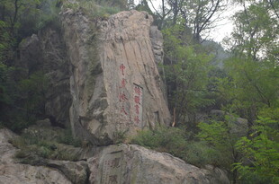 泰山陡峭岩壁旁的葱郁山林
