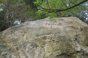 泰山刻字巨石 隐于绿树之间