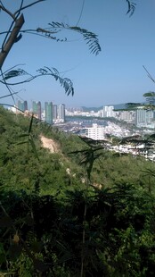 三亚俯瞰绿树掩映下的城市景观