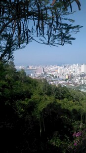 三亚山林间远眺城市景观