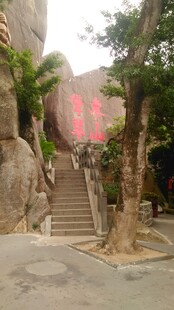 三亚古雅石阶旁的繁茂树木