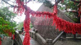 三亚祈福树挂满红绸祈愿牌