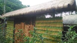 三亚乡村茅草木屋景观